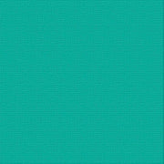 CARD STOCK 216gsm 5pack - Caruso 12 x12